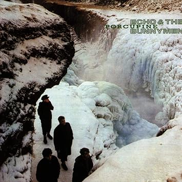 Echo And The Bunnymen - Porcupine (Vinyle Neuf)