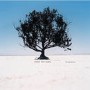 Shiny Toy Guns - We Are Pilots (Deluxe Edition) (Vinyle Neuf)