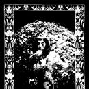 Cindy Lee - Model Express (Vinyle Neuf)