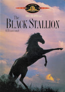 Film - The Black Stallion