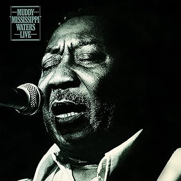 Muddy Waters - Muddy Mississippi Live (Vinyle Neuf)