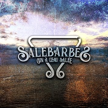 Salebarbes - Gin A Leau Salee (Vinyle Neuf)