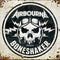 Airbourne - Boneshaker (Vinyle Neuf)