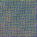 Animal Collective - Merriweather Post Pavilion (Vinyle Neuf)