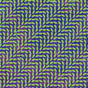 Animal Collective - Merriweather Post Pavilion (Vinyle Neuf)