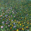 De La Beaute - Meme LImpossible Fleurit (Vinyle Neuf)