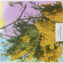 Four Tet - Into Dust (Still Falling) (Vinyle Neuf)