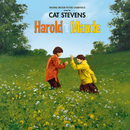 Cat Stevens - Songs From Harold And Maude (50e Anniversaire) (Vinyle Neuf)