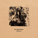 Roy Montgomery - Temple IV (Vinyle Neuf)