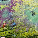 Rob Mazurek - Nestors Nest (Vinyle Neuf)