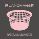 Blancmange - Everything Is Connected: Best Of (Vinyle Neuf)