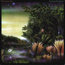 Fleetwood Mac - Tango in the Night (Vinyle Usagé)