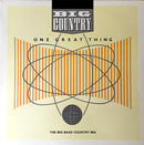 Big Country - One Great Thing (Vinyle Usagé)