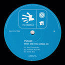 Pseudo  - What Are You Gonna Do (Vinyle Usagé)