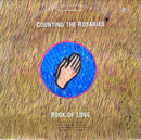 Book Of Love - Counting The Rosaries (Vinyle Usagé)