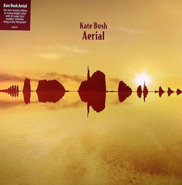 Kate Bush - Aerial (Vinyle Usagé)