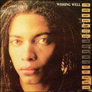 Terence Trent D Arby - Wishing Well (Vinyle Usagé)