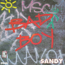 Sandy - Bad Boy (Vinyle Usagé)