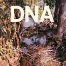 DNA  - A Taste Of DNA (Vinyle Usagé)