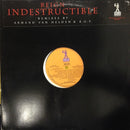Reign - Indestructible (The Remixes) (Vinyle Usagé)