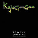 Kajagoogoo - Too Shy (Midnight Mix) (Vinyle Usagé)