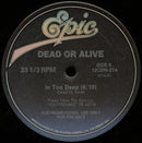 Dead or Alive - In Too Deep (Vinyle Usagé)