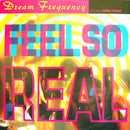 Dream Frequency Featuring Debbie Sharp - Feel So Real (Vinyle Usagé)
