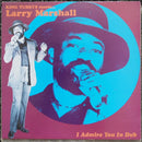 King Tubby / Larry Marshall - I Admire You In Dub (Vinyle Usagé)