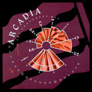 Arcadia - Election Day (The Consensus Mix) (Vinyle Usagé)