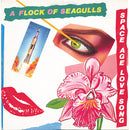 A Flock Of Seagulls - Space Age Love Song (Vinyle Usagé)