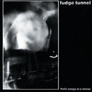 Fudge Tunnel - Hate Songs In E Minor (Vinyle Usagé)