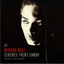 Terence Trent D Arby - Wishing Well (The Cool In The Shade Mix) (Vinyle Usagé)