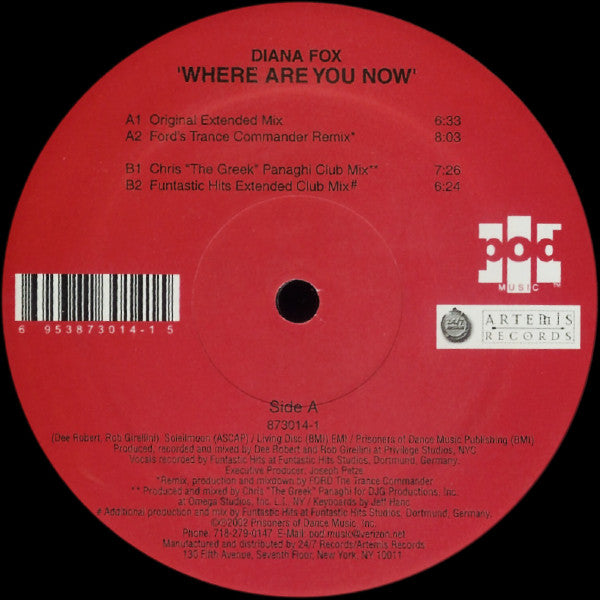 Diana Fox - Where Are You Now (Vinyle Usagé)