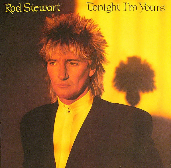 Rod Stewart - Tonight Im Yours (Vinyle Usagé)