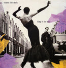 Stephen TinTin Duffy - Icing on the Cake (Vinyle Usagé)