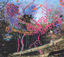 Animal Collective - Here Comes The Indian (Vinyle Usagé)