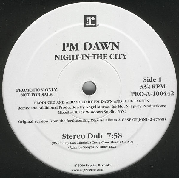 PM Dawn - Night In The City (Vinyle Usagé)