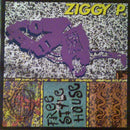 Ziggy P - Freestylehouse (Vinyle Usagé)