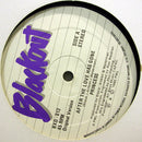 Princess - After The Love Has Gone (Vinyle Usagé)