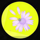 Vermittelnde-Elemente - Blume EP (Vinyle Usagé)