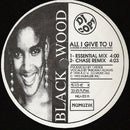 Blackwood / Two Boys - All I Gave To You / I Wont Let You Down (Vinyle Usagé)