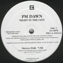 PM Dawn - Night In The City (Vinyle Usagé)