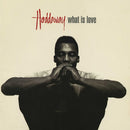 Haddaway - What Is Love (Vinyle Usagé)