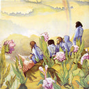 Harmonium - Les Cinq Saisons (Vinyle Usagé)