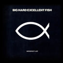 Big Hard Excellent Fish - Imperfect List (Vinyle Usagé)