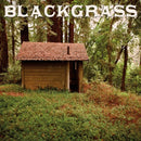 Earl Lee Grace - Blackgrass (Vinyle Usagé)