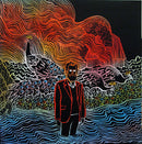 Iron And Wine - Kiss Each Other Clean (Vinyle Usagé)