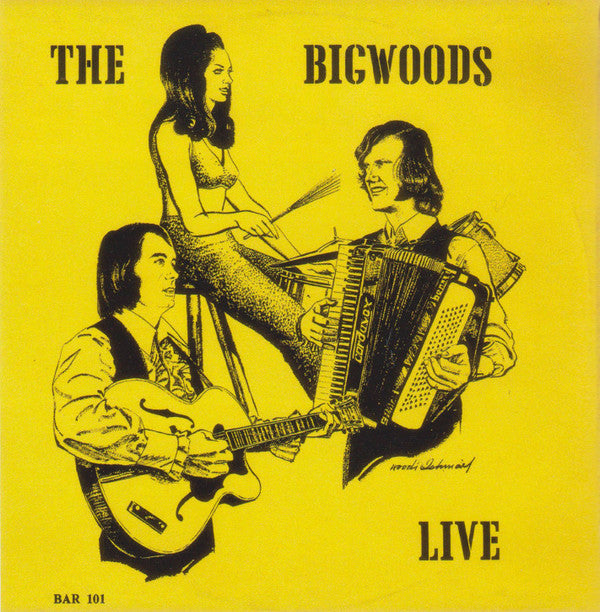 Bigwoods - Live (Vinyle Usagé)