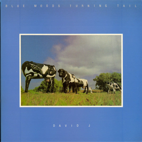 David J - Blue Moods Turning Tail (Vinyle Usagé)