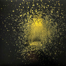 Antlers - Burst Apart (Vinyle Usagé)